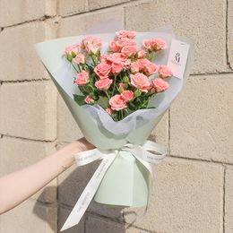 햇살을 품은 미니장미, 햇살장미