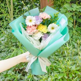 베르사유의 비밀정원 (민트)