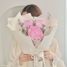 작약 (사하라 핑크)