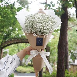 말할 수 없는 비밀, 안개꽃다발