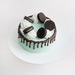 민트 초코 케이크 (1호)