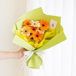 신비의 꽃, 거베라 (믹스)