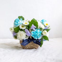 썸머 블루 바스켓