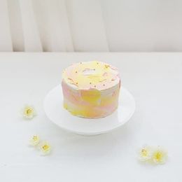 레어 치즈 팔레트 케이크 (미니)