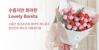러블리보니타 대형