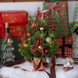 크리스마스 콘트리 (시즌한정)