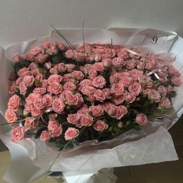 황지희 리뷰 사진