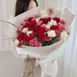 레드 플로라 카네이션 (대형꽃다발)