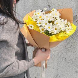데이지 브리즈
