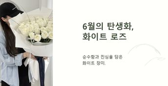 탄생화 1