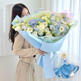 프린세스 에디션 [ 신데렐라 ]