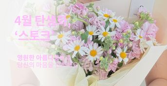 3월의 탄생화 튤립