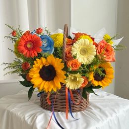 선샤인 블룸