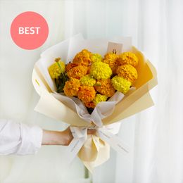 6월의 탄생화 (메리골드 믹스)